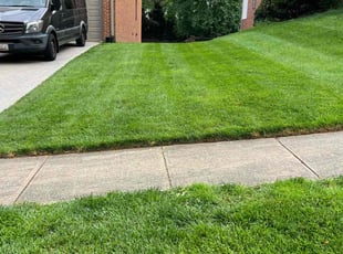 Teresa W.'s lawn care services service result