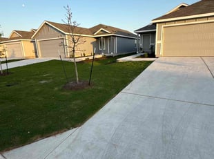 Nathan W.'s grass maintenance service result