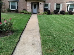 Mimi S.'s lawn care services service result