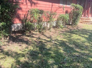 Efrain L.'s turf care service result