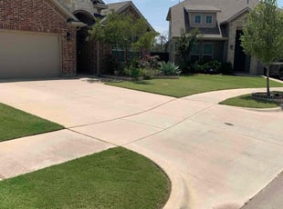Bernard P.'s turf care service result