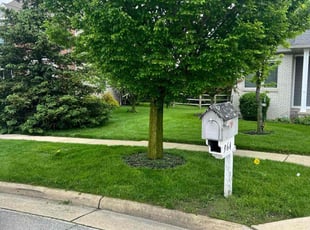 Gale T.'s turf maintenance service result