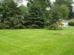 Andrea B.'s landscaping service result