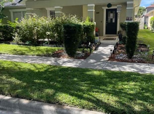 Jaclyn K.'s turf care service result