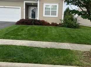 Debra T.'s grass maintenance service result