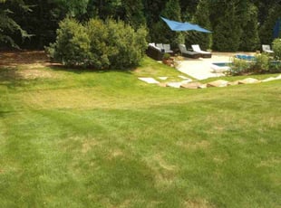 Ambers J.'s turf maintenance service result