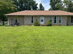 Ray M.'s turf care service result