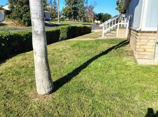 Monica K.'s turf maintenance service result
