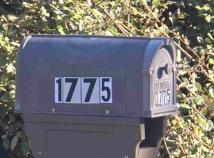 Karen B.'s grass maintenance service result