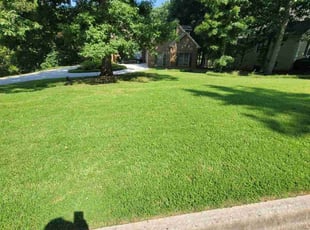 Amy N.'s turf care service result