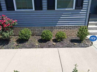 Robin O.'s Bush Trimming service result