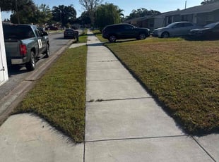 Ryan A.'s Weeding service result