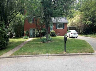 Lesa C.'s lawn care services service result