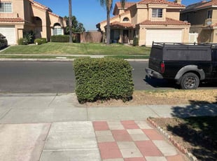 Kristine C.'s Bush Trimming service result