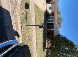 Mike A.'s grass cutting service result