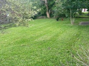Marry B.'s lawn service service result
