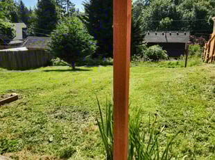 Lee M.'s turf maintenance service result