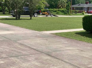 Tanisha T.'s lawn care service result
