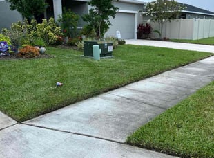 Bryan T.'s lawn care service result