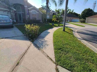 Brian W.'s yard service service result