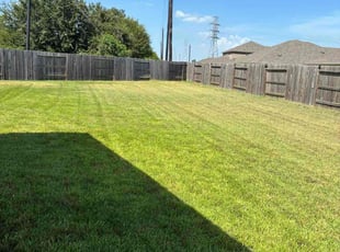 Kristine T.'s grass maintenance service result