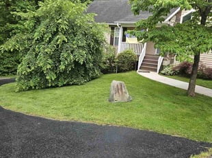 James A.'s grass maintenance service result