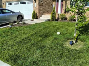 Jason R.'s turf care service result