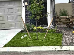 Tanner M.'s grass maintenance service result