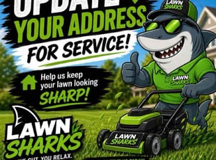Alicia R.'s grass cutting service result