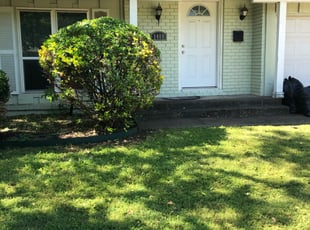 Mar M.'s Bush Trimming service result