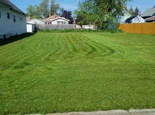 Rebecca W.'s grass maintenance service result