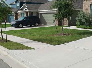Danielle A.'s lawn care services service result