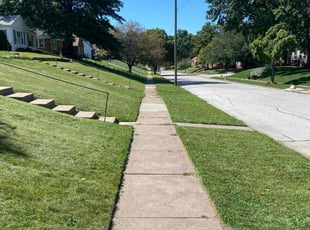 Jeriesha P.'s turf care service result