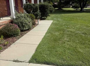 Kyle W.'s lawn service service result