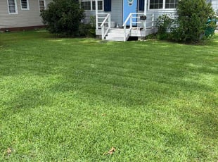 Julie W.'s lawn care service result