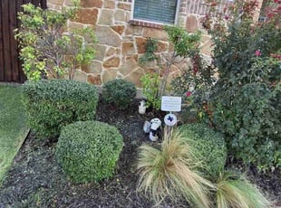 Charles K.'s Bush Trimming service result