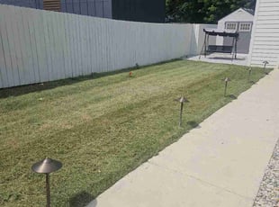 Dmitriy P.'s grass maintenance service result