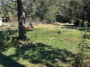 Alex C.'s turf care service result