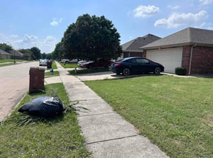 Kitty W.'s Bush Trimming service result