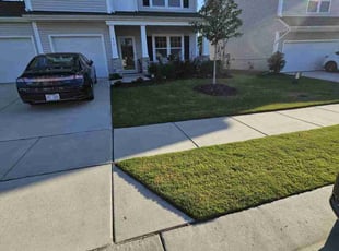 Kavesa R.'s grass maintenance service result