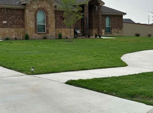 Ignacio R.'s grass cutting service result