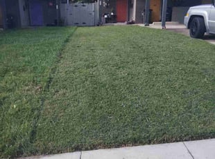 Sean B.'s lawn maintenance service result