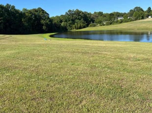 Veronica G.'s turf maintenance service result