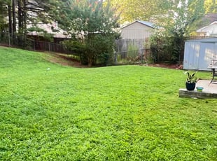 Kimberly L.'s Cleanups service result