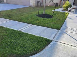 Dona P.'s lawn care services service result