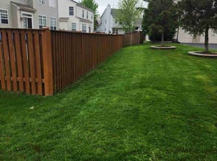 Rachel V.'s grass maintenance service result
