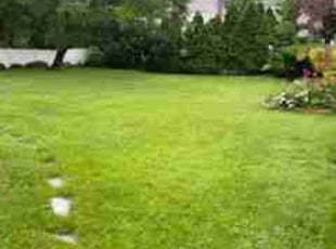 Cheryl L.'s lawn service service result