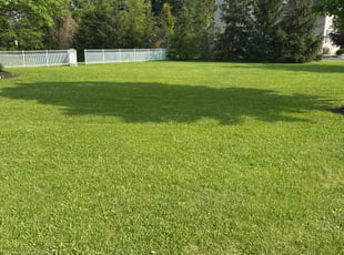 Alexandria G.'s lawn maintenance service result