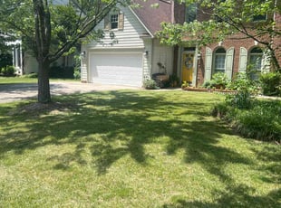 Megan R.'s grass cutting service result