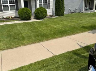 Cody W.'s lawn care service result